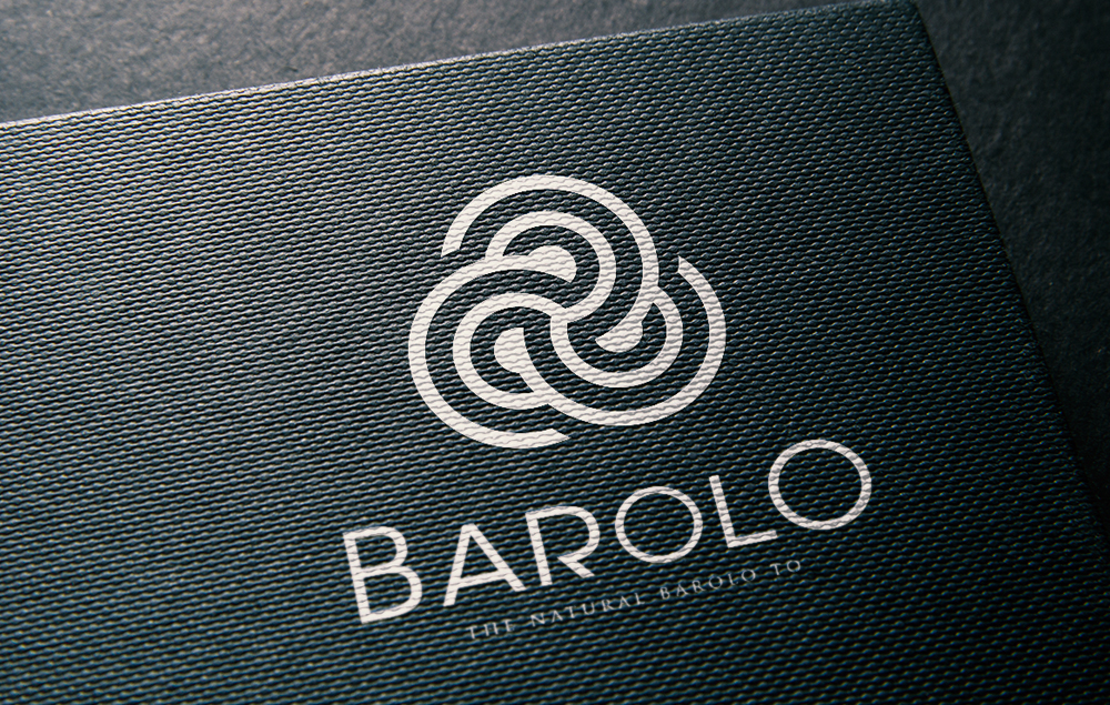 怎樣打造優(yōu)秀的學(xué)校標(biāo)志logo設(shè)計(jì)?