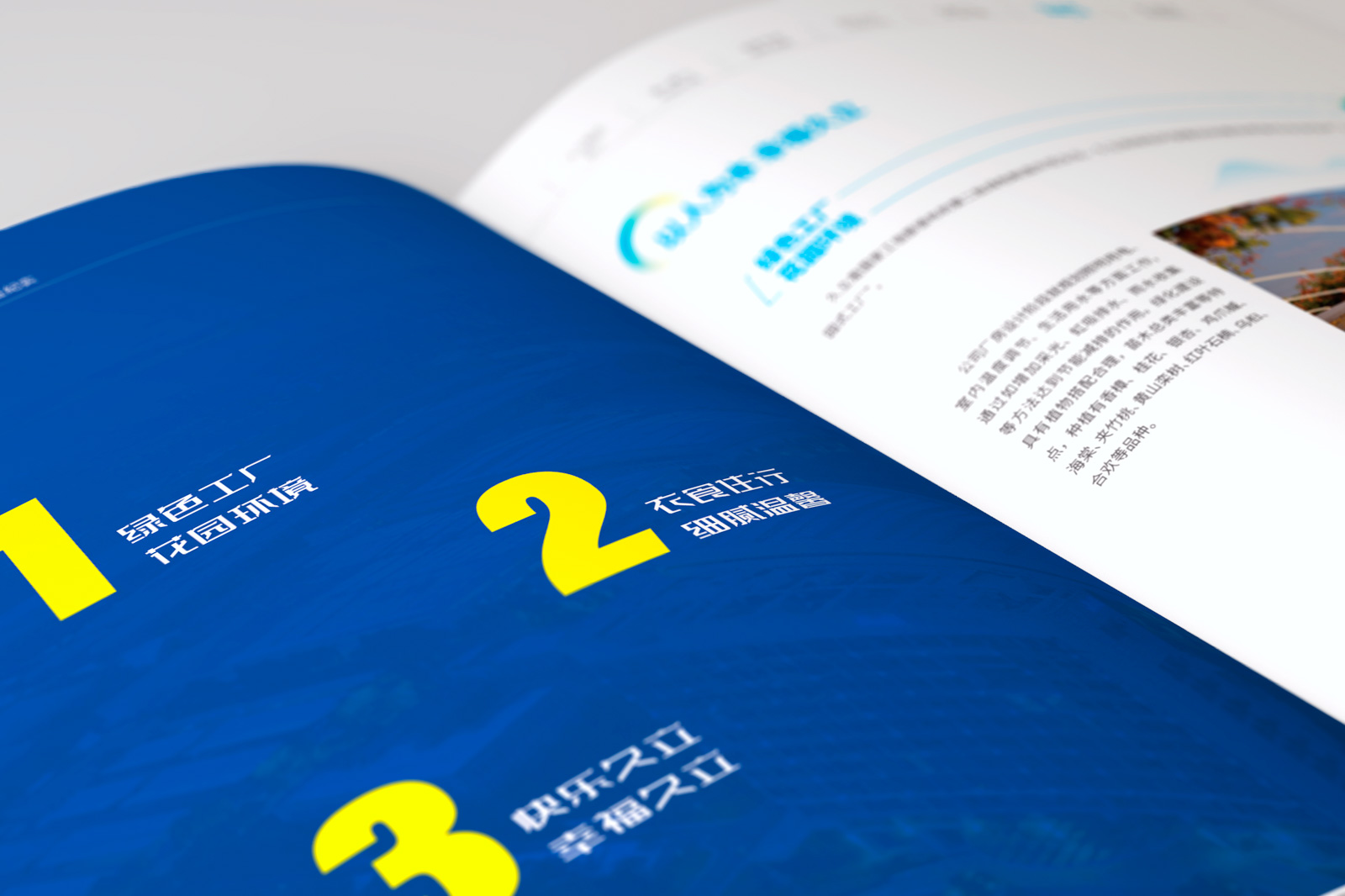 1602479120365953.jpg 07.jpg