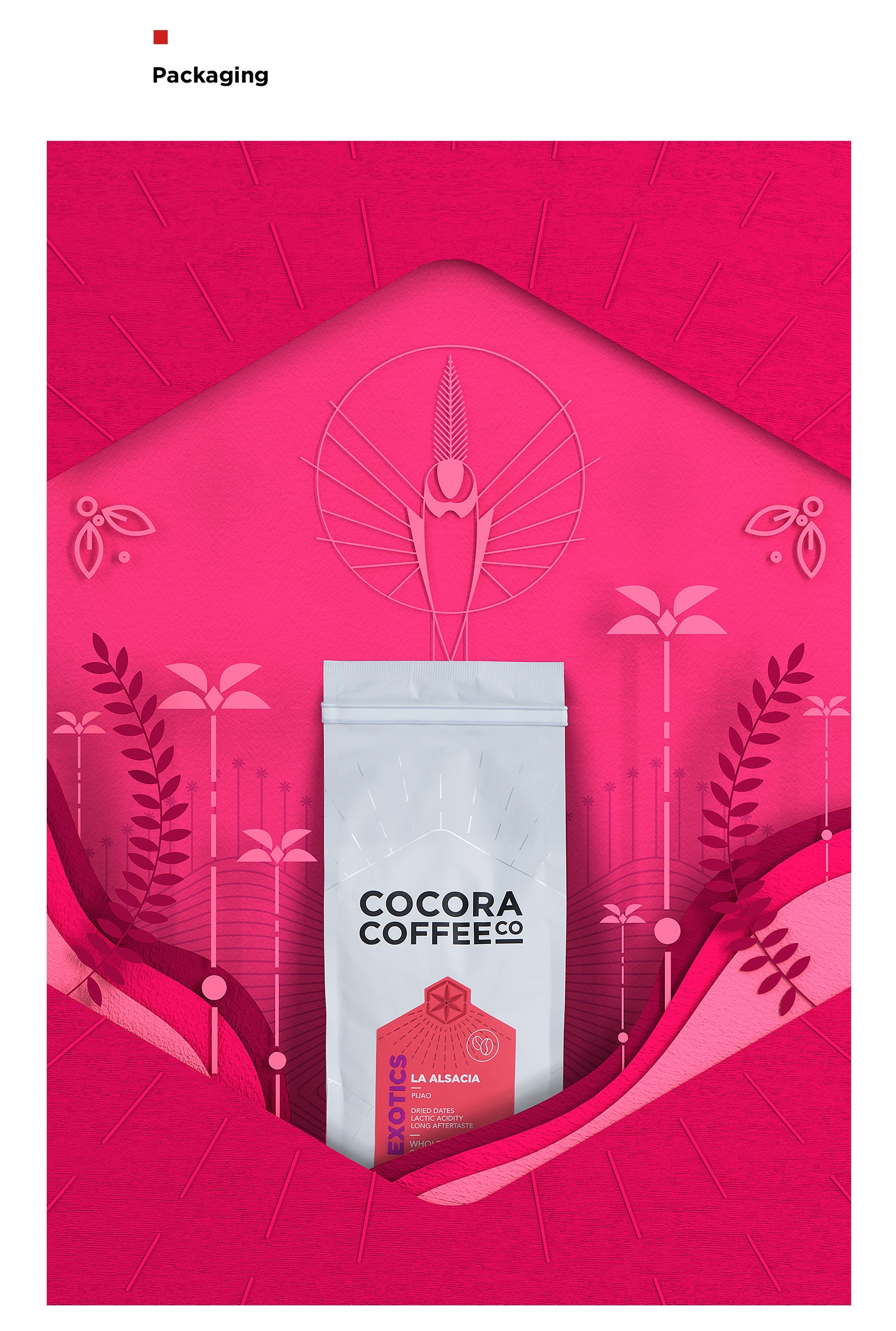 為一個(gè)咖啡杯，一個(gè)街角咖啡店，做整體的品牌包裝設(shè)計(jì)