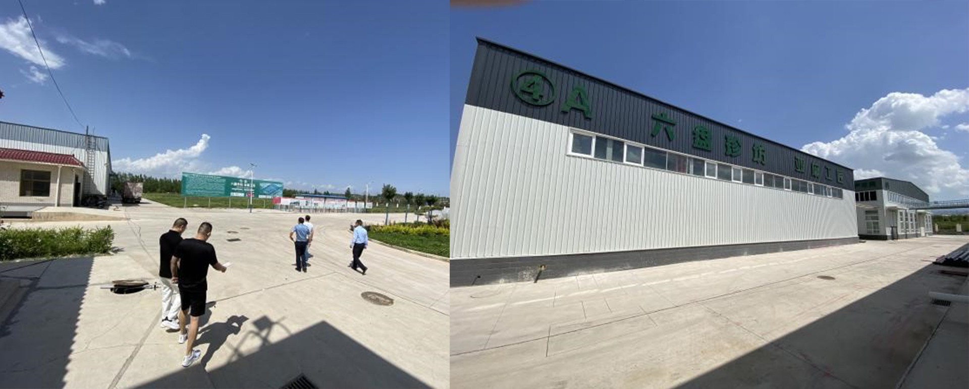 1685763874266700.jpg 03調研.jpg