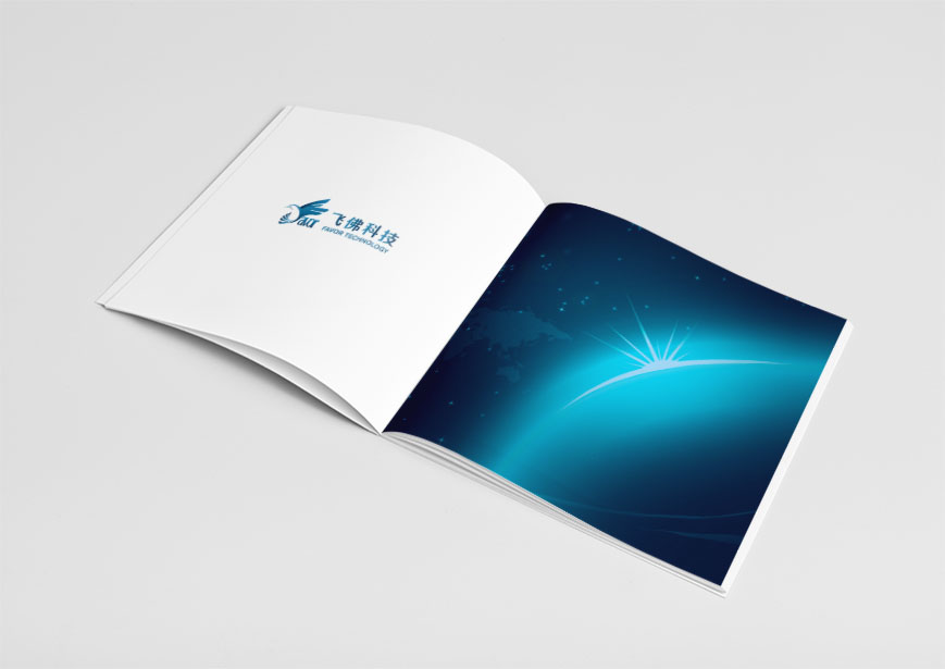 飛佛公司形象升級VI設計